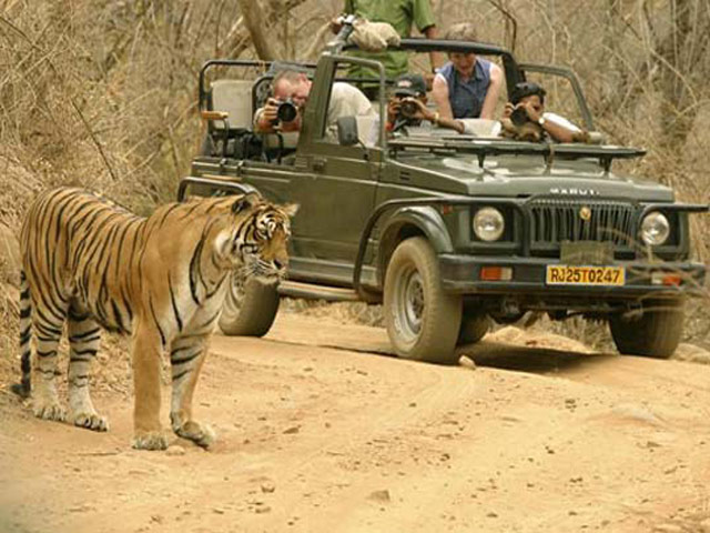Jeep safari charges in ranthambore #1