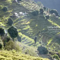 Gangtok – Darjeeling Stopover