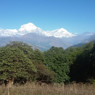 dhaulagiri and tukuche from Poon hill Windhorse Tours